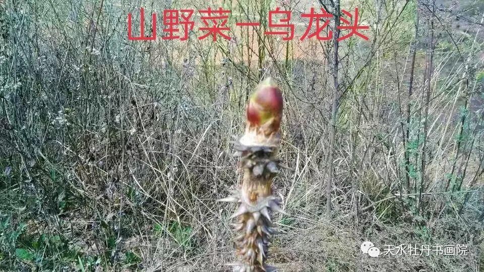 《吴砦故事》征稿啦！