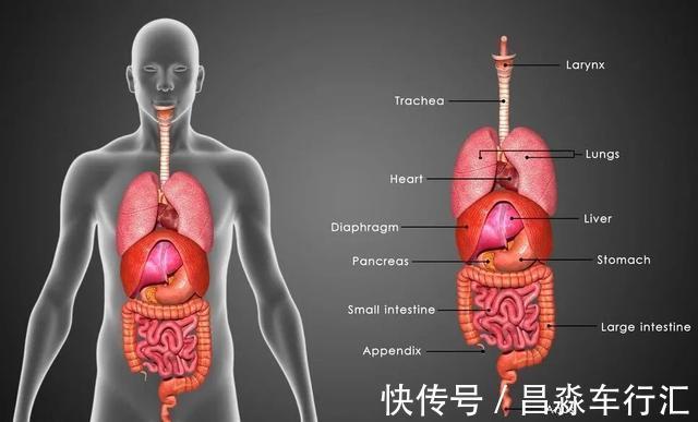 五脏积毒|五脏积毒以后身体会有哪些变化?一组图告诉你所有变化,建议收藏