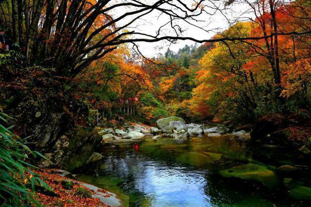 陌上谁家年少@读到第一句就让人欲罢不能, 美到让人心碎的诗词