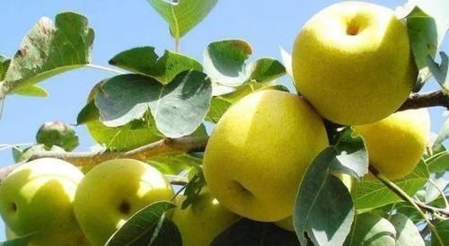 腰疼|肺癌开始骨转移,身体有何征兆?医生:夜间1处总会疼,需警惕