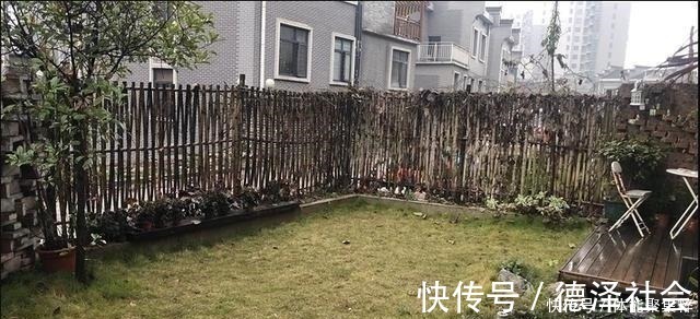 小院|自家小院简单改造就很美,生活废物可以利用,根本花不了多少钱!