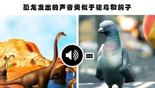 高尔夫球|即便是知识渊博的人也不一定知道的12个有趣的小知识