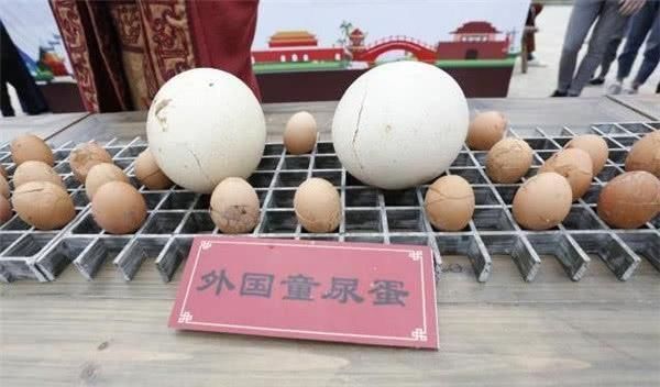 这4种中国“鸡蛋”,国外肯定没有,中国人也很少全吃过