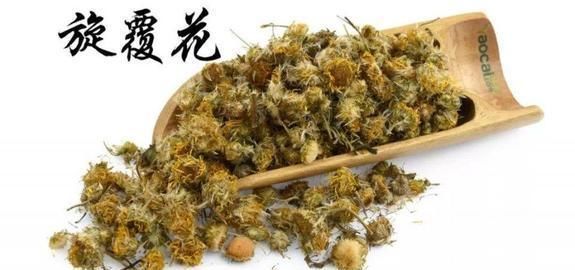 药治|张仲景钟爱的“刷痰”药治多痰、胸闷、胃胀,乃药中奇葩