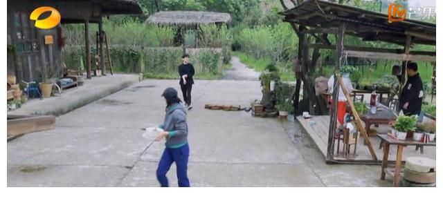 向往的生活|黄磊厨艺“翻车”，那英一句话撕开《向往5》遮羞布，网友大呼被骗