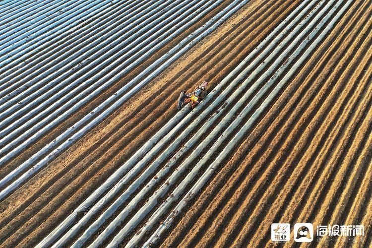 山亭区农机补贴政策解析:助推农业现代化的强大力量
