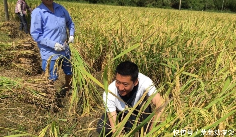 罗生门|周杰实惨！被舒淇怼、被林心如坑：求湾湾女星放过啊