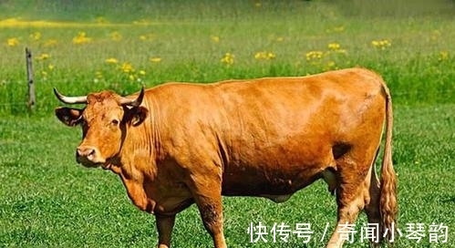 13条奇葩冷知识，有趣又好玩，满足自己的猎奇心理