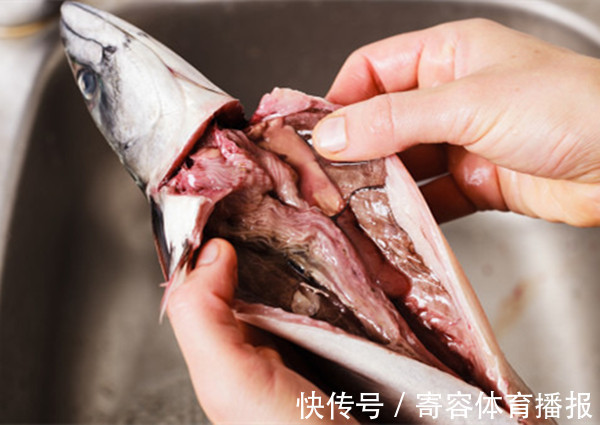 鱼头|常吃鱼,利长寿?吃鱼也有禁忌,2种鱼要少吃,3个部位不能吃!