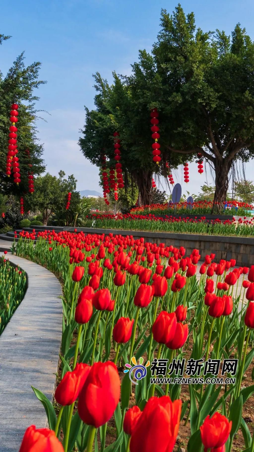 老年|假期余额不足，快去赏花！（附攻略）