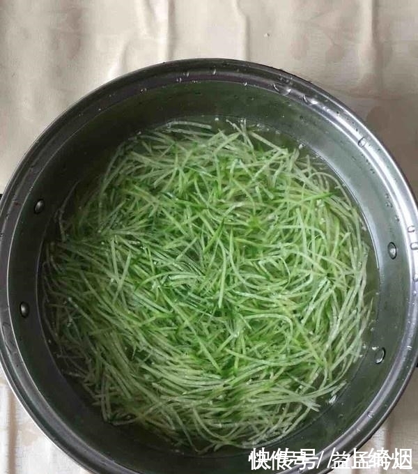 蘿卜|它是小人參，一元一斤，常吃潤肺排毒助消化，夏月吃它正當季！
