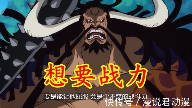 乌尔缇|海贼王：两个内贼盗走三颗恶魔果实，凯多他到底是如何想的