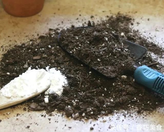 常用的一些生活用品，变成园艺工具，用来养花太方便了