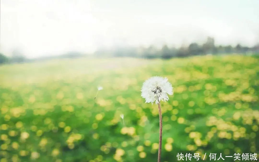 “瘦不下去”和“胖不起来”,其实都是身体出了问题,赶紧调理