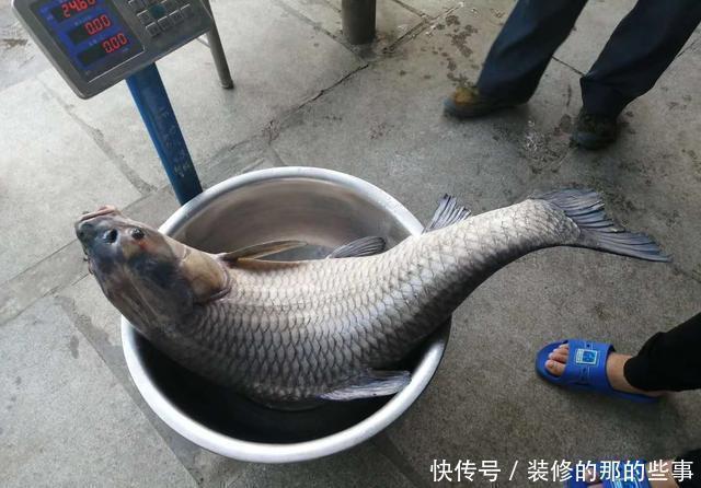 钓鱼几年后你会有哪些变化?这几点都会有,只是你自己很难发现