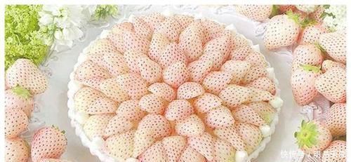 排毒养颜|夏天来了，女性多吃以下食物，排毒养颜、抗衰老，预防便秘