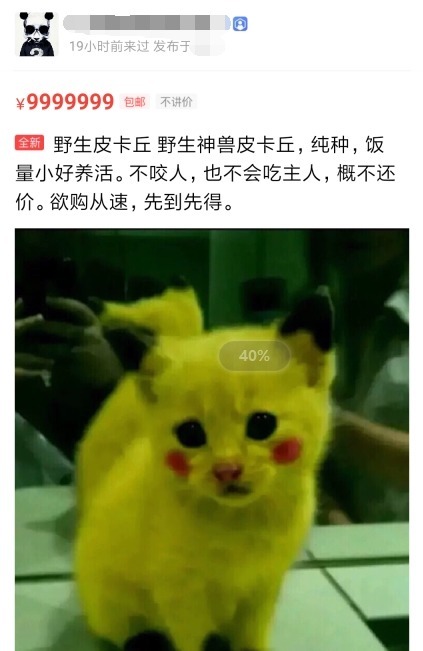 收下|某鱼上的这些沙雕卖家,请收下我的膝盖