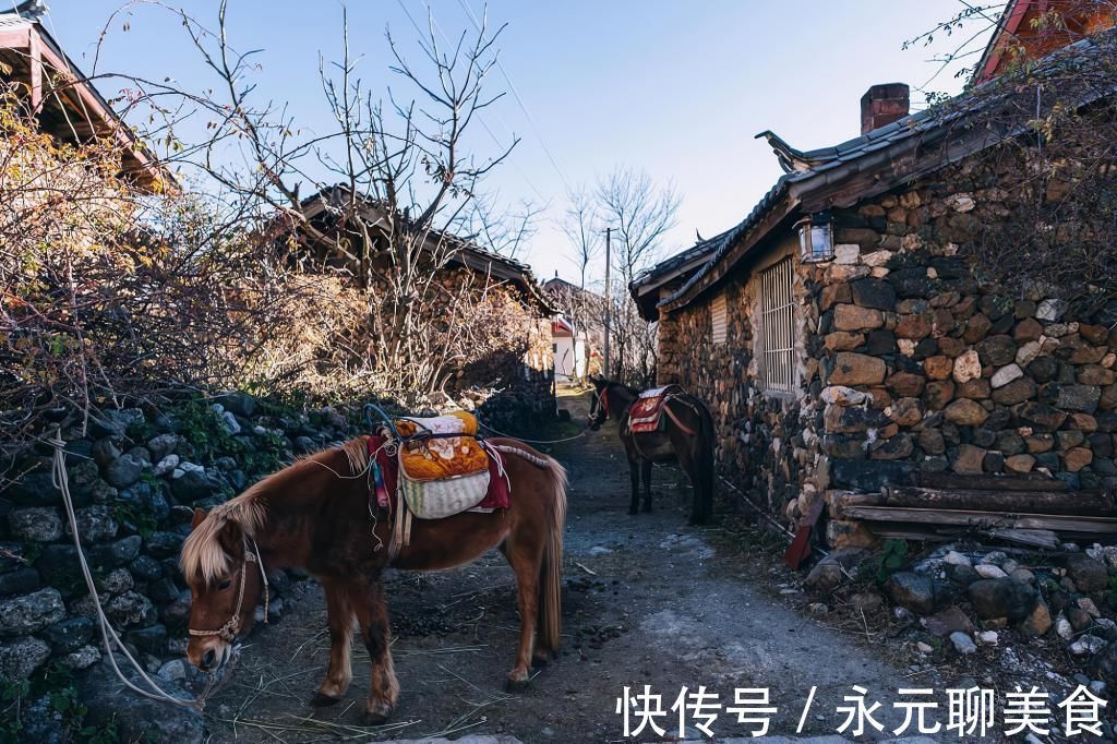 玉湖村|玉龙雪山脚下的玉湖村，像极了遗落在人间的仙境，但愿不要被遗忘