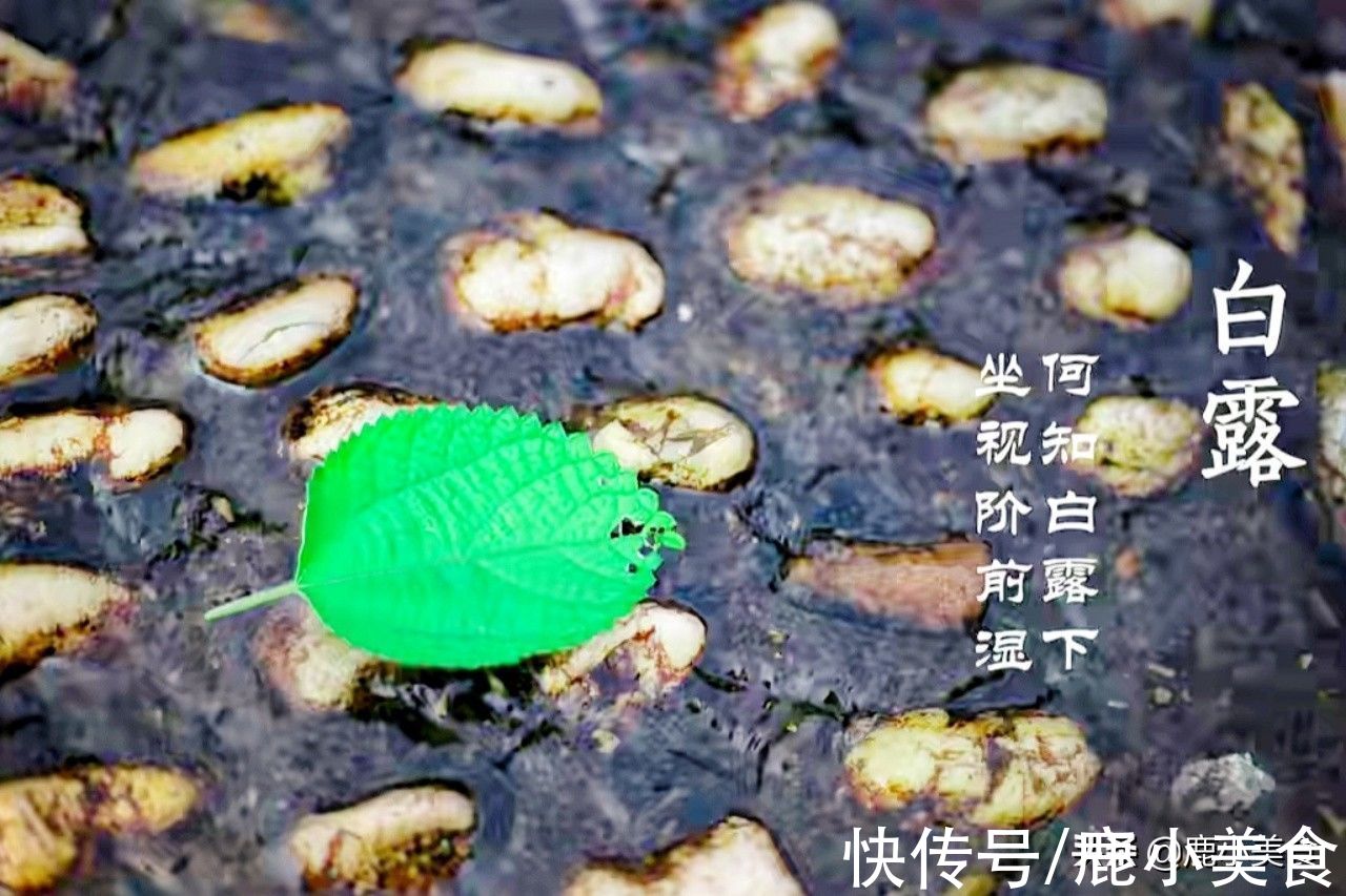 白露|白露时节，要做到“食养6宜、忌做2事”，应季而作，舒坦过秋季