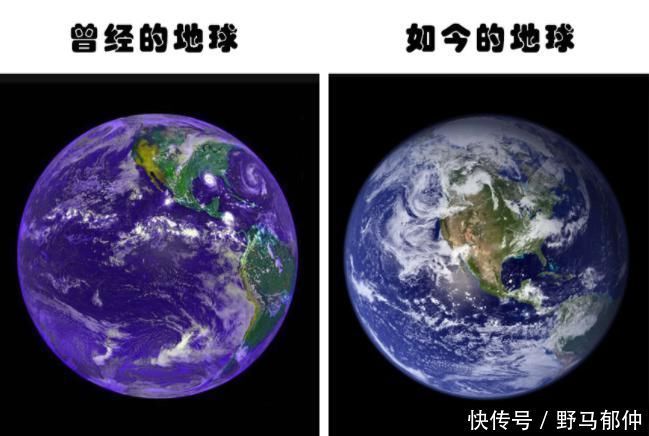 视黄醛 24亿年前地球可能是紫色的,可后来地球为什么变绿了?