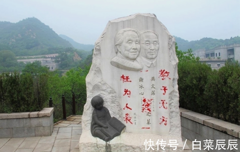 鲁迅$冰心在20世纪文坛的成就不算低,为何鲁迅和林徽因都厌恶她?