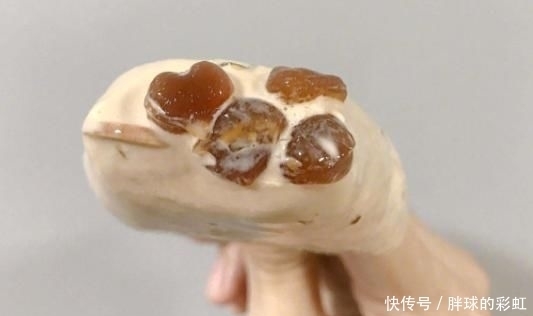 小拾|雪糕爱好者,不能错过的网红冰激凌,奶茶冰棒里有珍珠