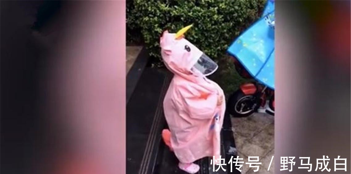 十万个为什么|妈妈提醒娃穿雨衣下台阶要提一下,随后萌娃的举动,让人笑翻了