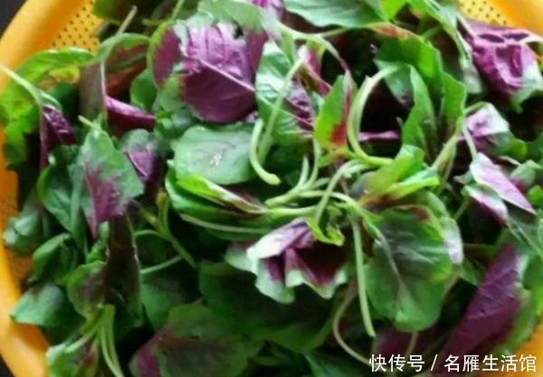 暖宫|女人患“子宫肌瘤”,坚持吃4样食物,活血暖宫,肌瘤或许会变小