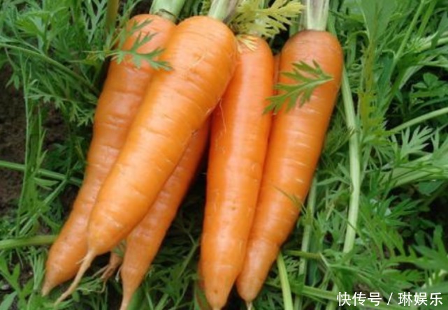 为什么超市的胡萝卜干净还光滑？我也是刚知道，看完涨知识了