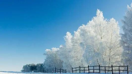 那场大雪|姚斌‖梦之雪