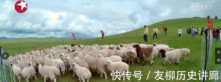 何洛洛|《极限挑战宝藏行2》:各路成员抓羊姿势大赏