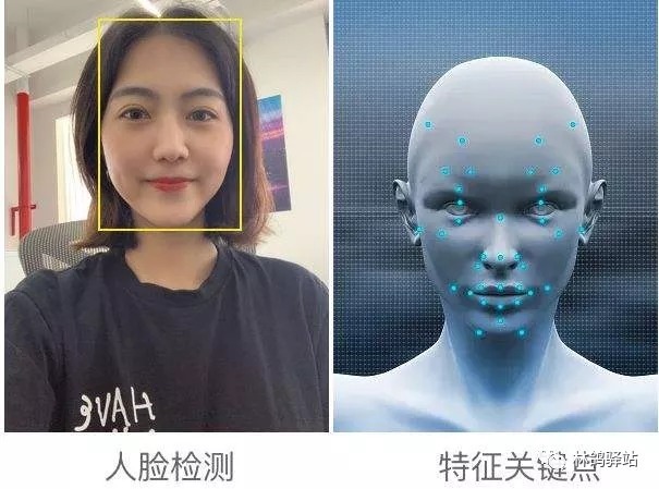 文本|你知道数据标注在金融行业会用到哪些技术吗?