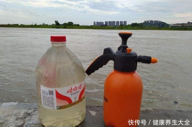 4个养花坏习惯,赶紧改掉,不然花只剩空盆!