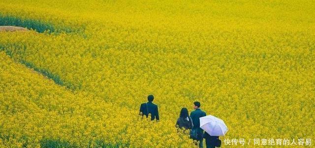 常德|去湖南不一定要去凤凰古城，来常德游玩，你想看的东西几乎都有