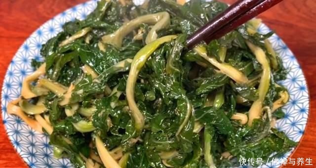 很多人只吃果肉,其实叶子才是宝贝,如今正当季,不懂吃可惜了