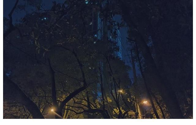 天道图书馆&百万网友极力推荐的几本小说,本本经典,看过的都是老书虫