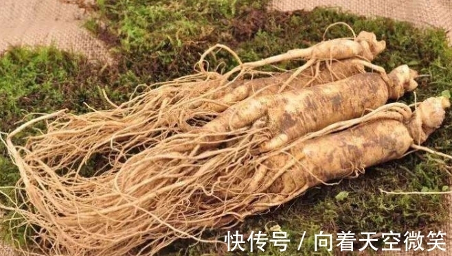 奇闻|奇闻:老人以为挖到“人参”,再请专家看到后,却大呼不能接受