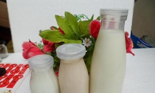 酸奶|牛奶和酸奶哪个热量高?减肥应该怎么选?答案跟你想的完全不同