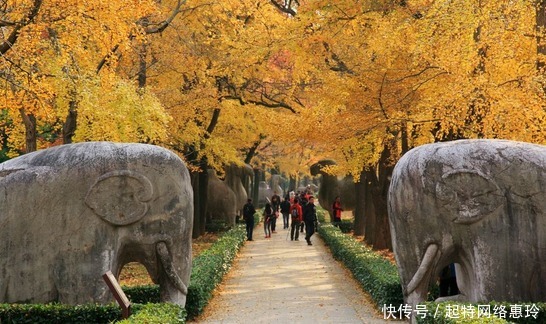 迁走|官兵准备迁走此开国皇帝墓，朱元璋：他很牛，留着给朕守墓门