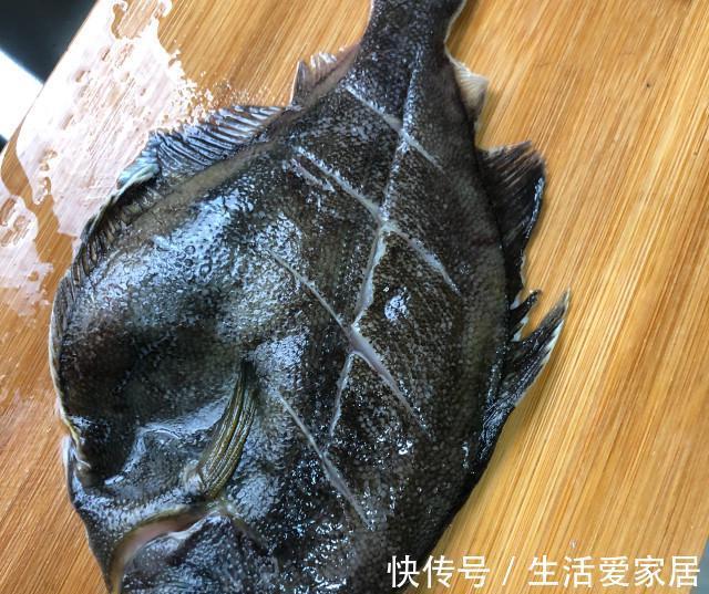 多宝鱼|清蒸多宝鱼,肉质鲜嫩,一点都不腥