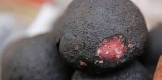 摊主|东北集市“稀奇物”,远看像煤球,近看直摇头,摊主排队都难买