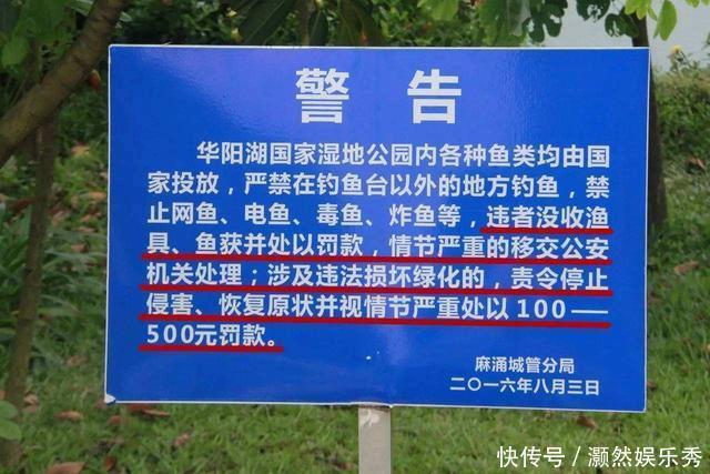 野钓|钓鱼人留意,违法钓鱼最高罚十万,搞清楚下竿比较好