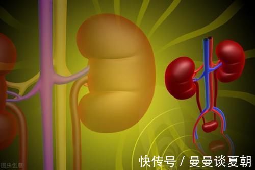 肾小球肾炎|肌酐高了,为什么有人能恢复正常、有人却进展到尿毒症?