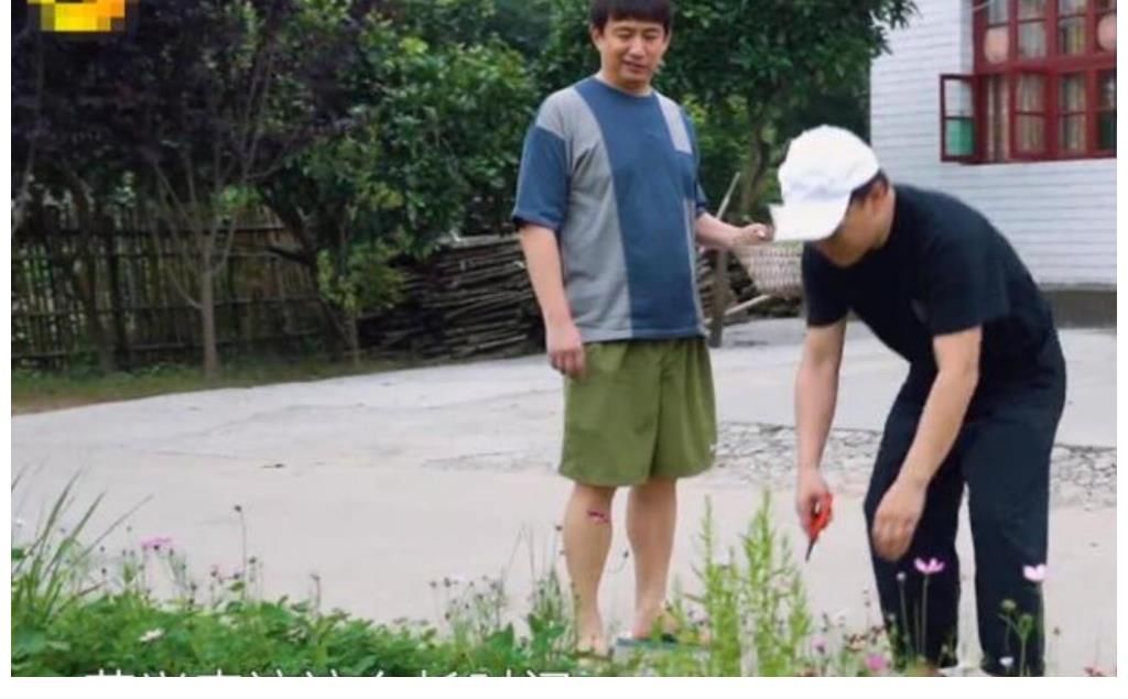 张艺兴|黄渤作客《向往的生活》，与黄磊张艺兴同框，鸡条兄弟上演回忆杀