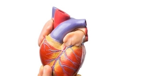 高血压|冠心病的元凶找到了!避免这3点,有效减少冠心病风险