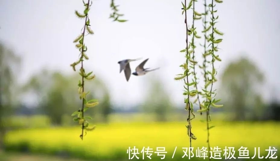 杨柳岸晓风@酒与宋词,飘着酒香的10大宋词排行榜,猜猜都有哪些名篇入榜?