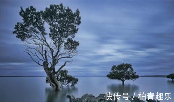 经书|梦参长老：我读诵十年《金刚经》后悟得了什么？