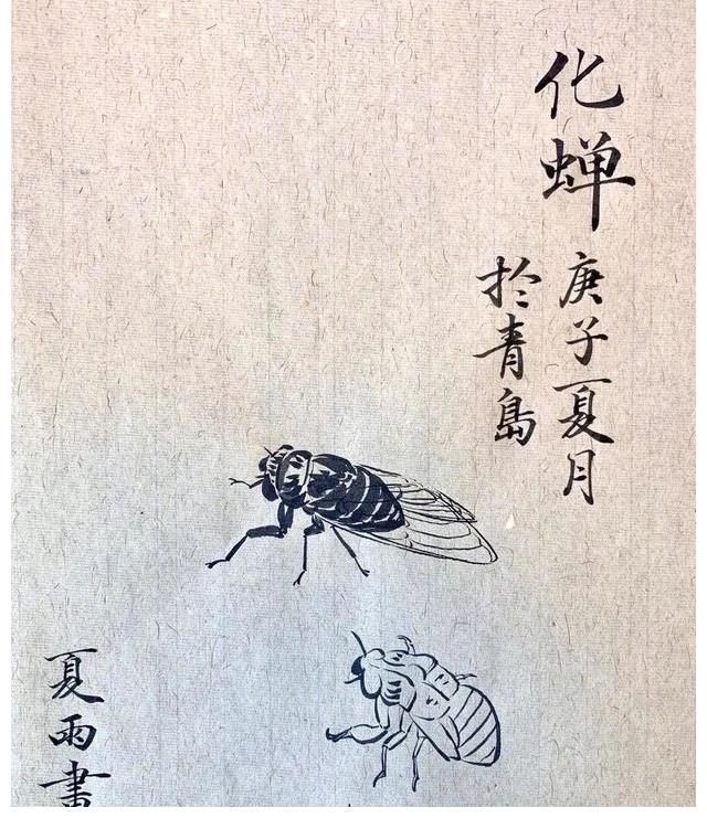夏雨&他是明星里面画画最好的,谦虚自嘲只是爱好,网友:堪称专业画家