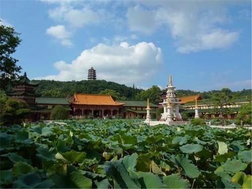 寺庙|我国最良心的寺庙，不用门票烧香拜佛免费，却阻止这一类人进入