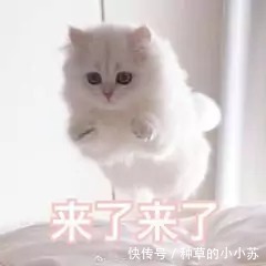 氨基酸洗面奶|护肤的4大误区,水乳不用买太贵的,少走很多弯路,别被导购忽悠